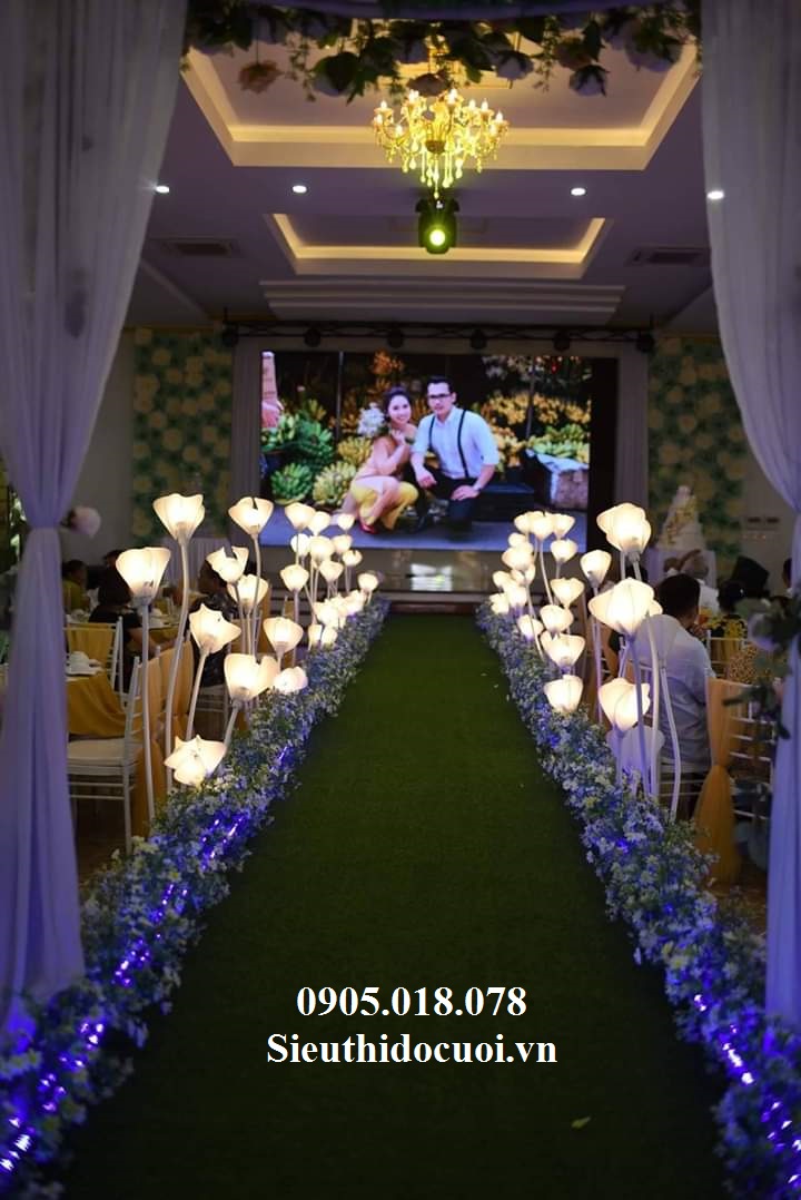 Sóng đèn trang trí Sóng đèn trang trí