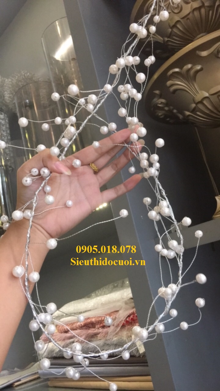 Dây kẽm ngọc trai Dây kẽm ngọc trai