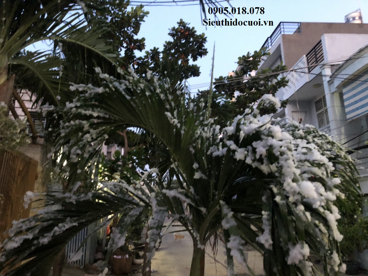 Máy tạo tuyết, máy phun tuyết Máy tạo tuyết, máy phun tuyết