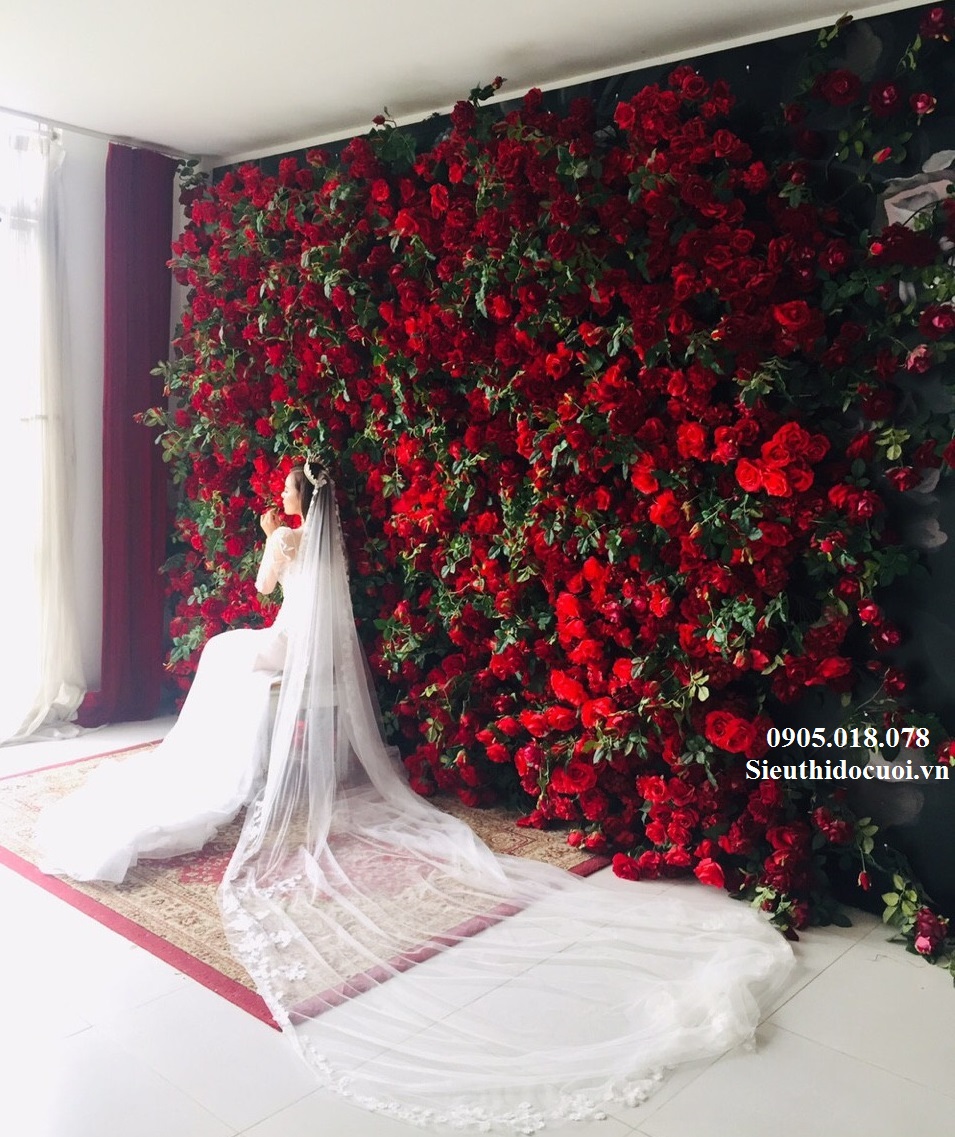 Background sân khấu Background sân khấu