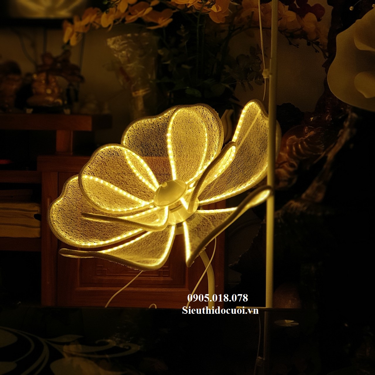 Sóng đèn hoa lan Sóng đèn hoa lan