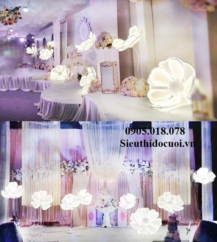 Sóng đèn hoa lan Sóng đèn hoa lan