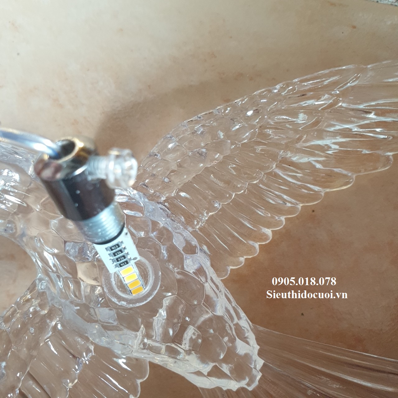 Chim pha lê Chim pha lê