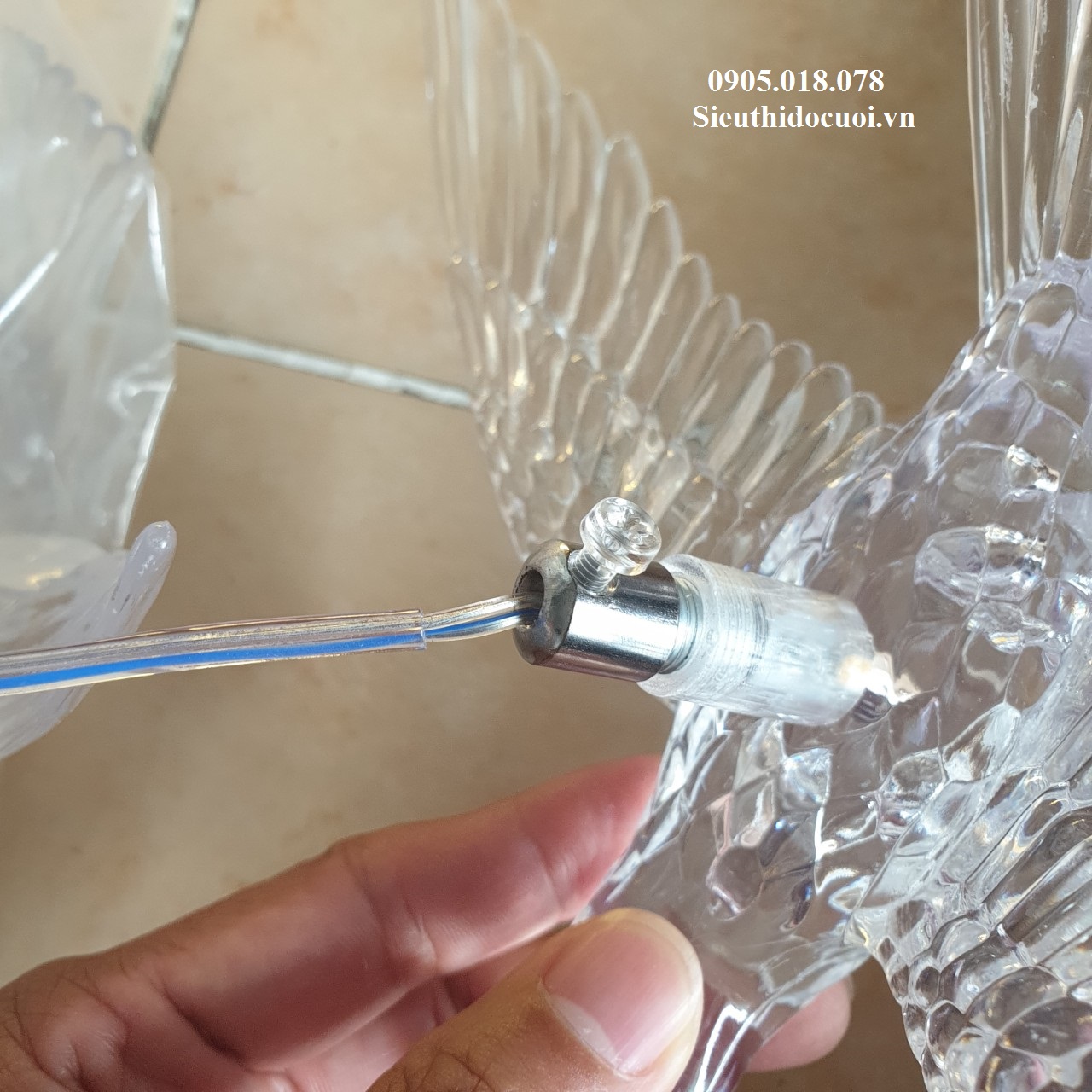 Chim pha lê Chim pha lê