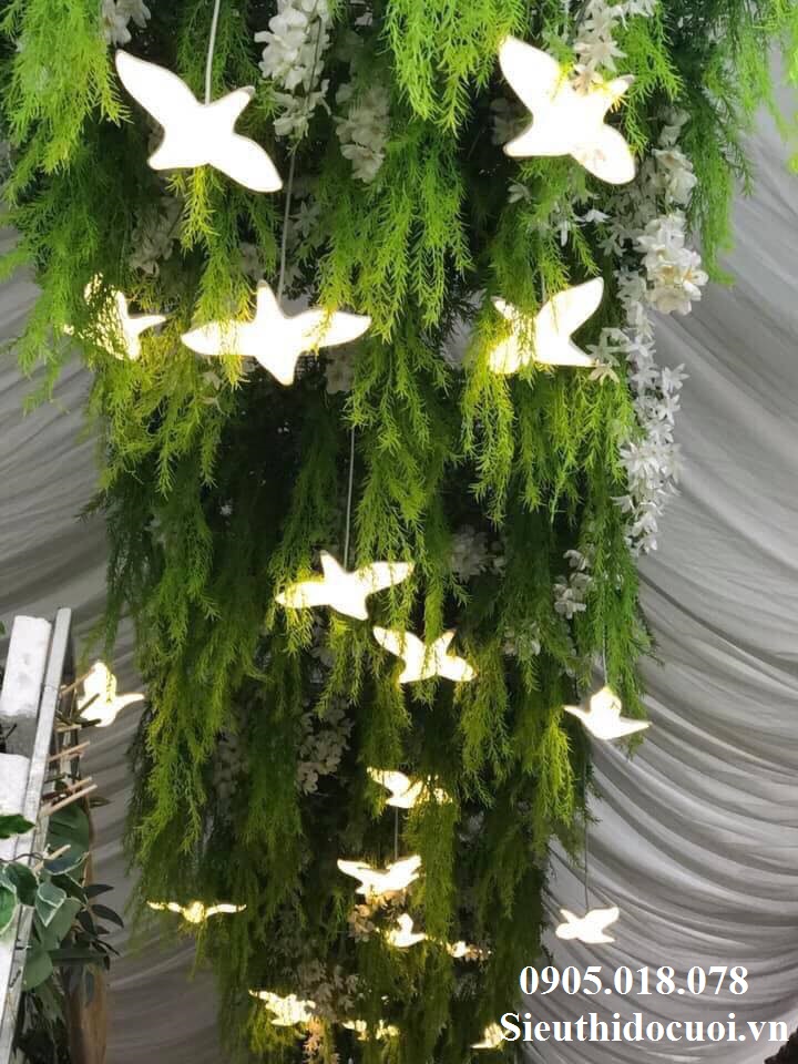 Chim pha lê Chim pha lê