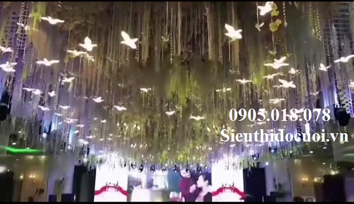 Chim pha lê Chim pha lê