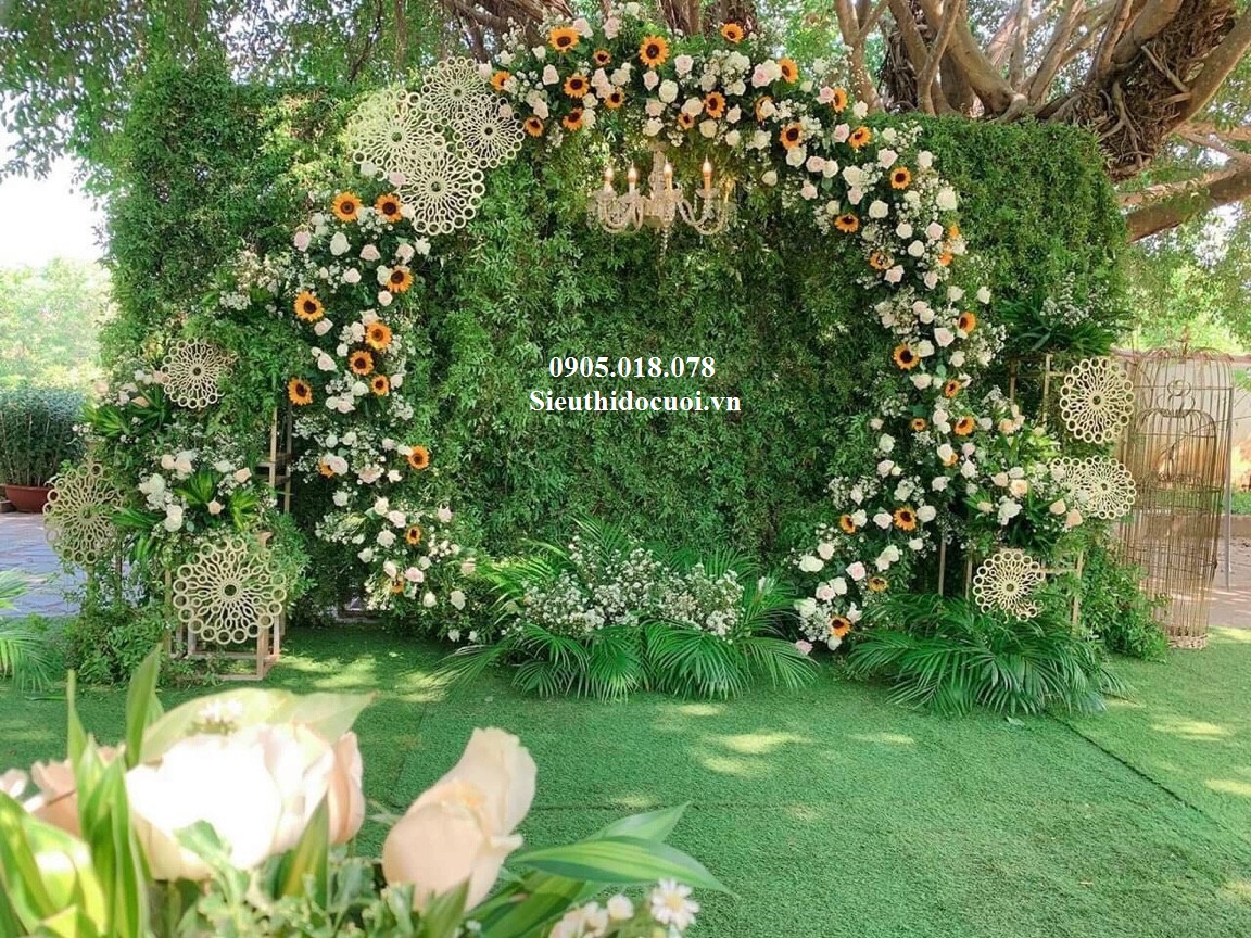 Background sân khấu Background sân khấu