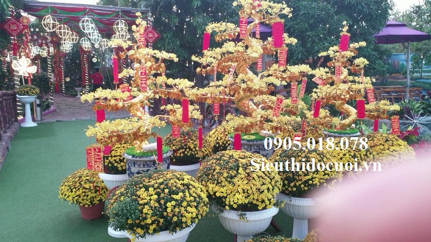 Cây Mai Pha Lê Cây Mai Pha Lê