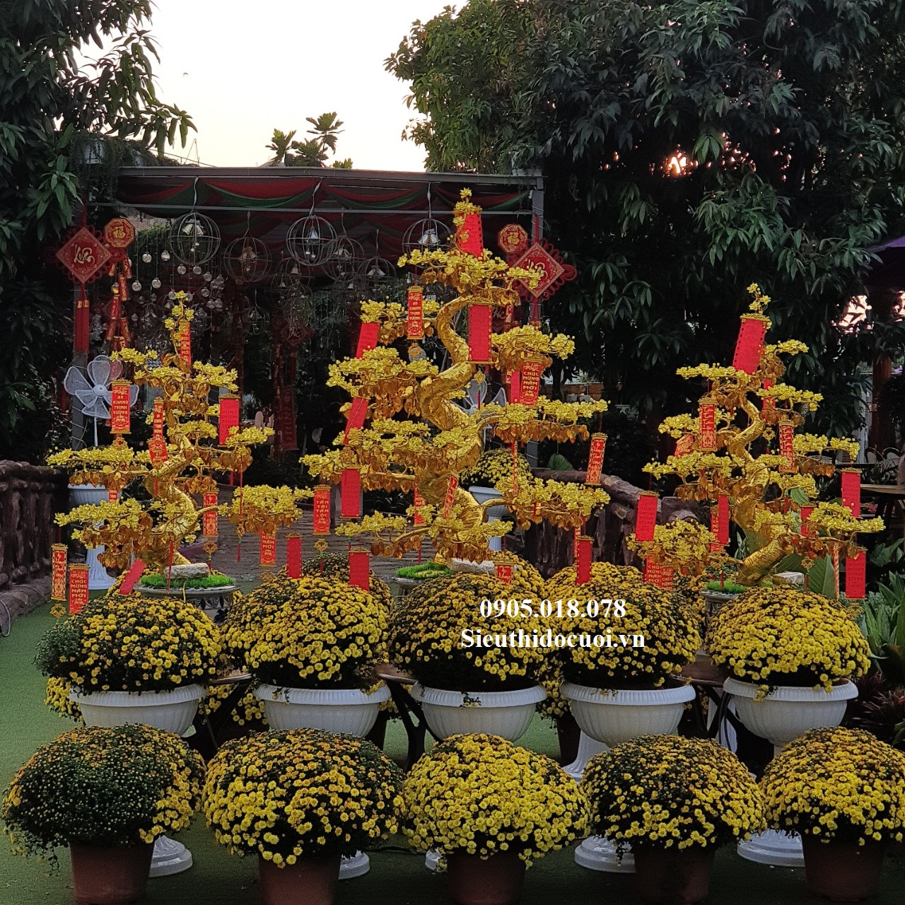 Cây Mai Pha Lê Cây Mai Pha Lê