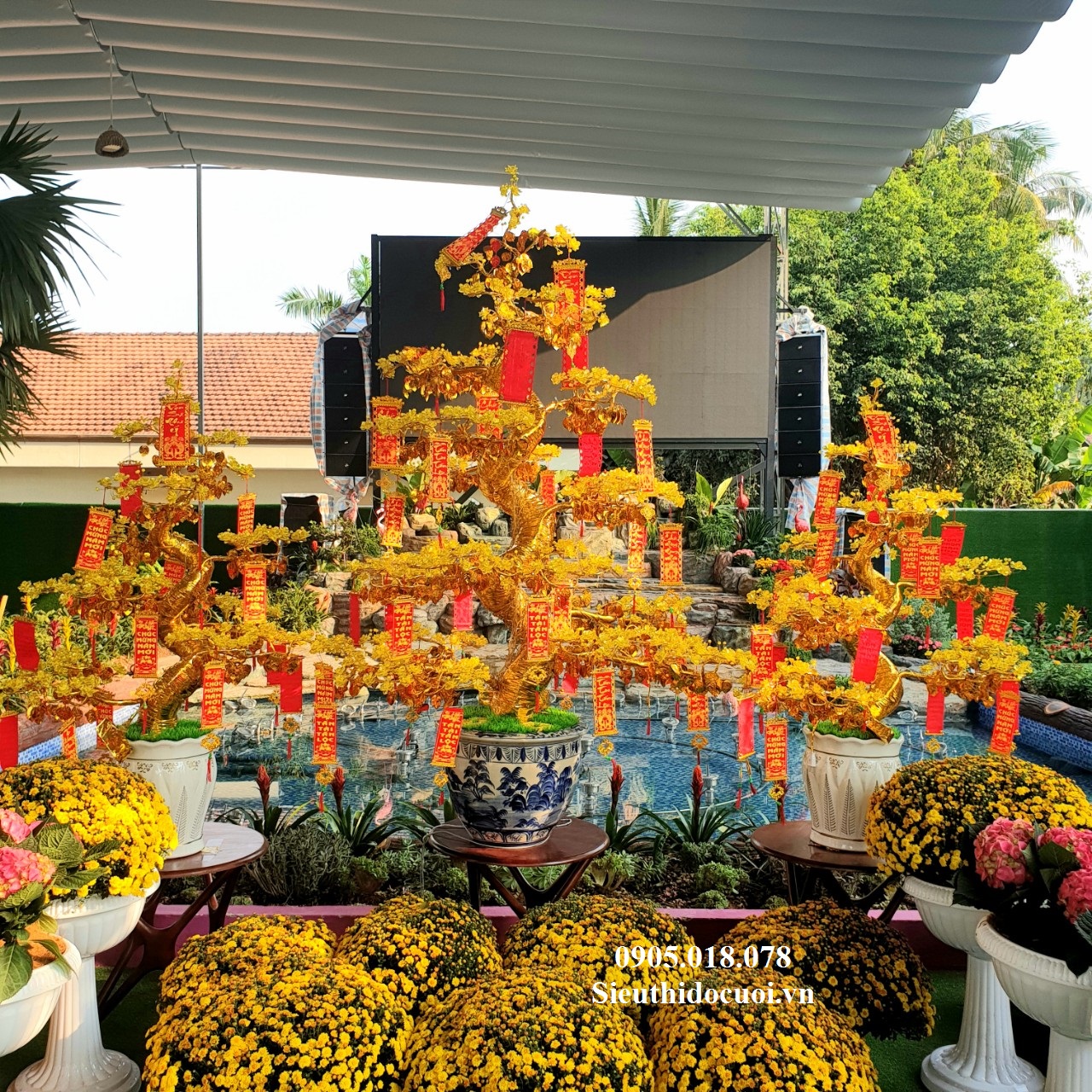 Cây Mai Pha Lê Cây Mai Pha Lê