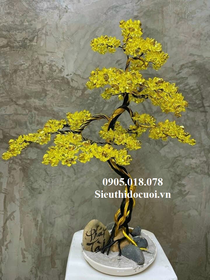 Cây Mai Pha Lê Cây Mai Pha Lê