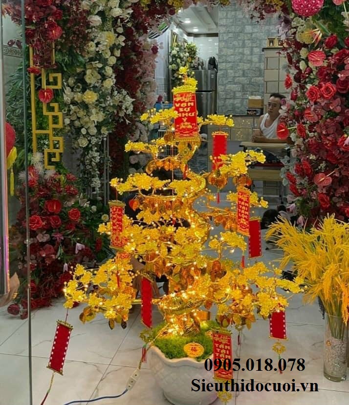 Cây Mai Pha Lê Cây Mai Pha Lê