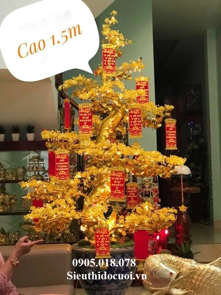 Cây Mai Pha Lê Cây Mai Pha Lê