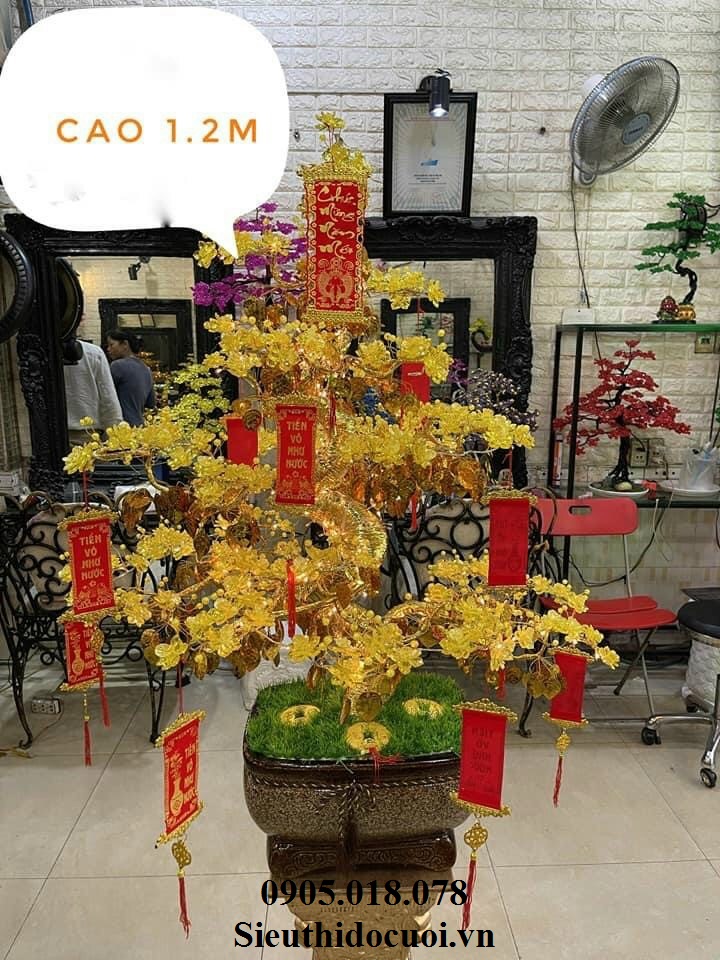 Cây Mai Pha Lê Cây Mai Pha Lê