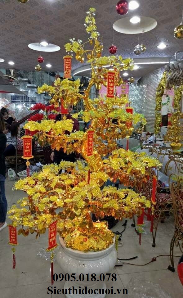 Cây Mai Pha Lê Cây Mai Pha Lê