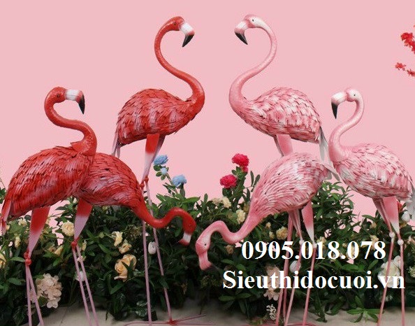 Hồng Hạc Hồng Hạc