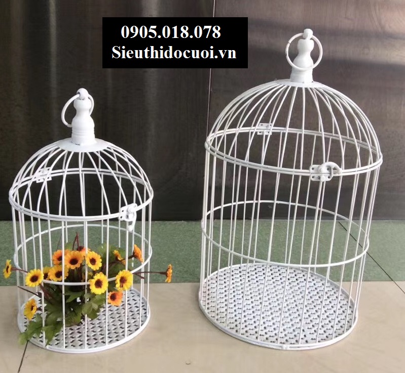 Lồng chim Lồng chim