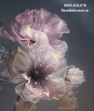 Hoa trang trí sân khấu, lối đi sân khấu Hoa trang trí sân khấu, lối đi sân khấu