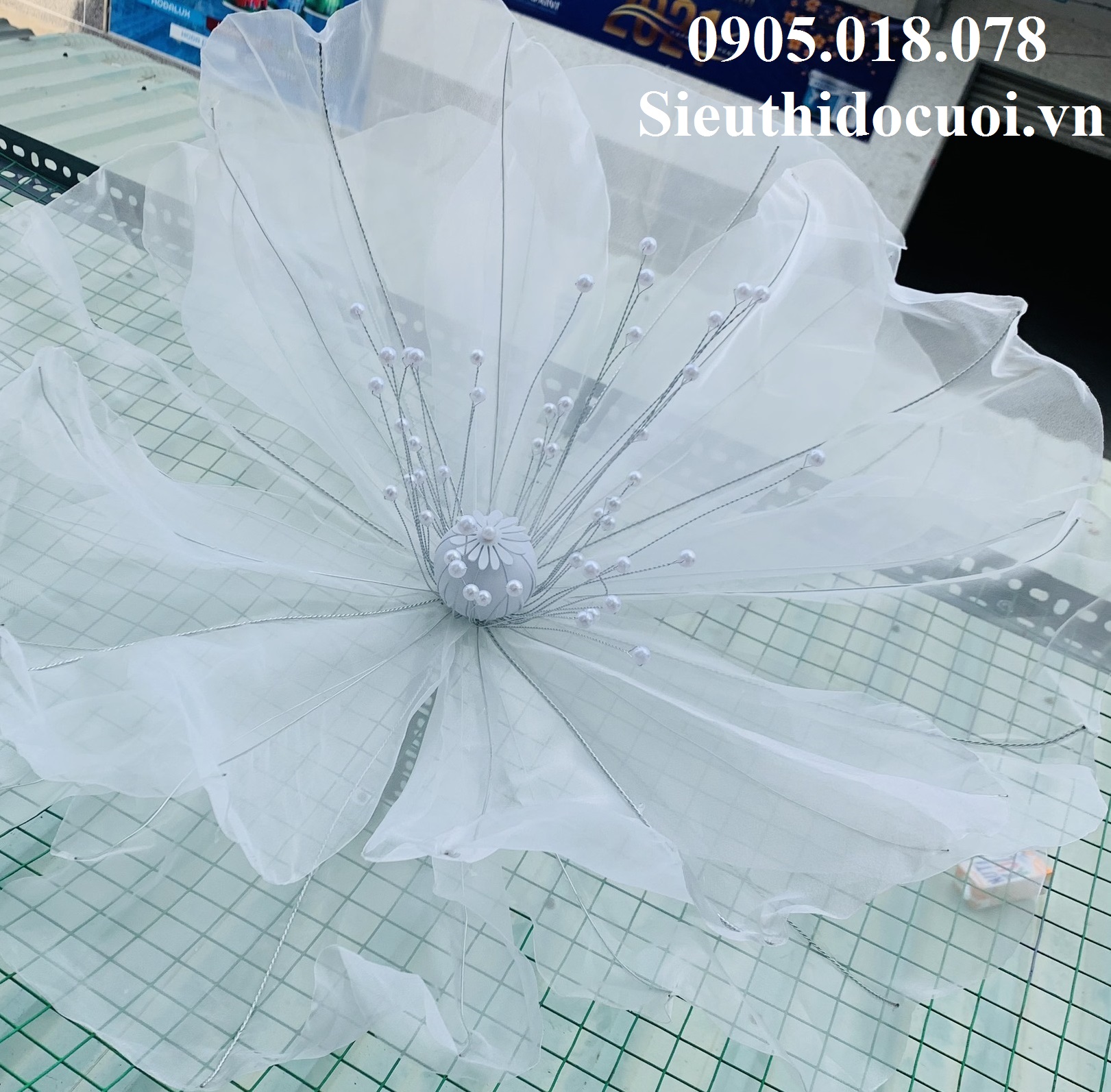 Hoa Múa, Hoa Dùng Để Múa Hoa Múa, Hoa Dùng Để Múa