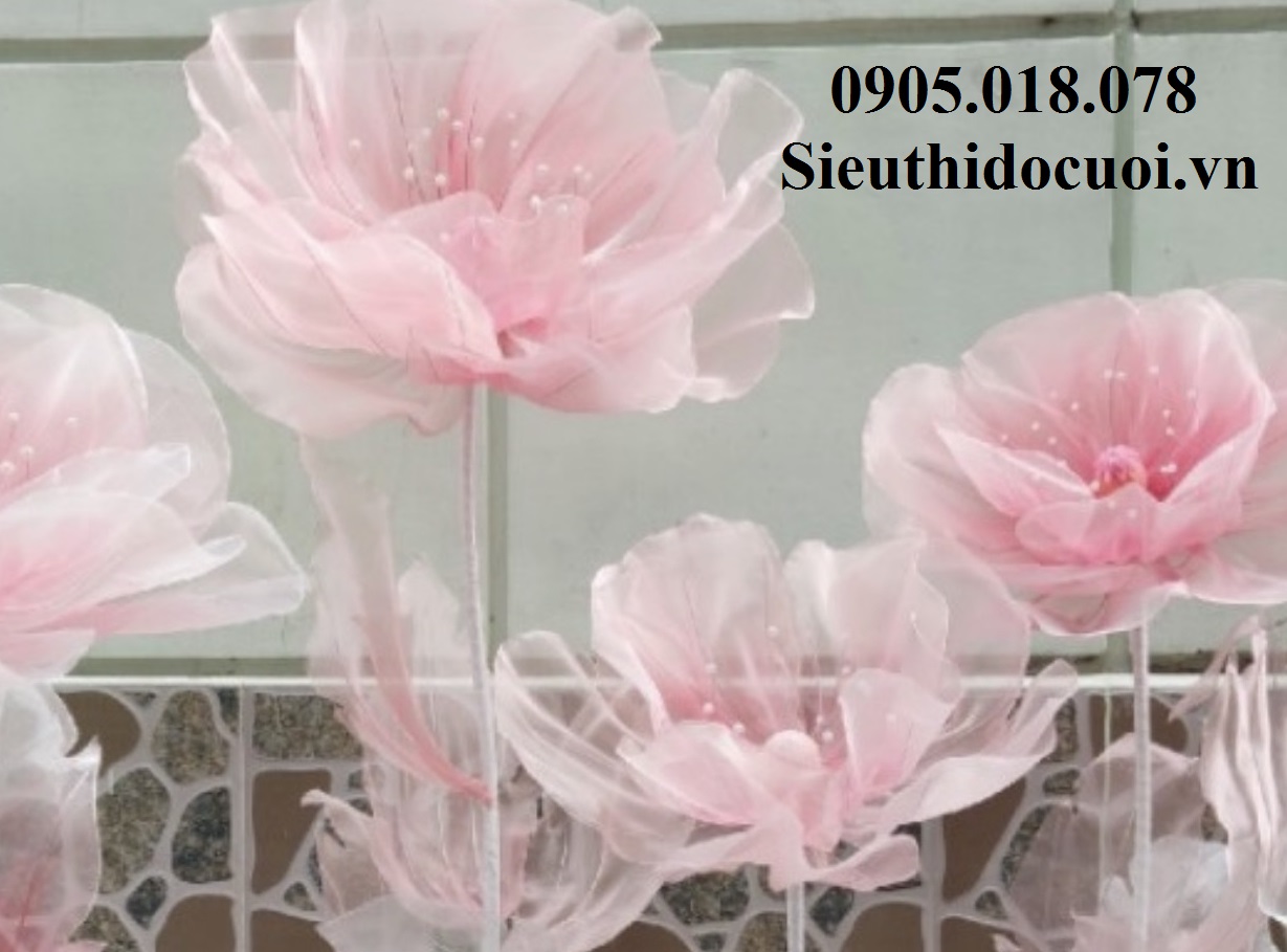 Hoa trang trí sân khấu, lối đi sân khấu Hoa trang trí sân khấu, lối đi sân khấu