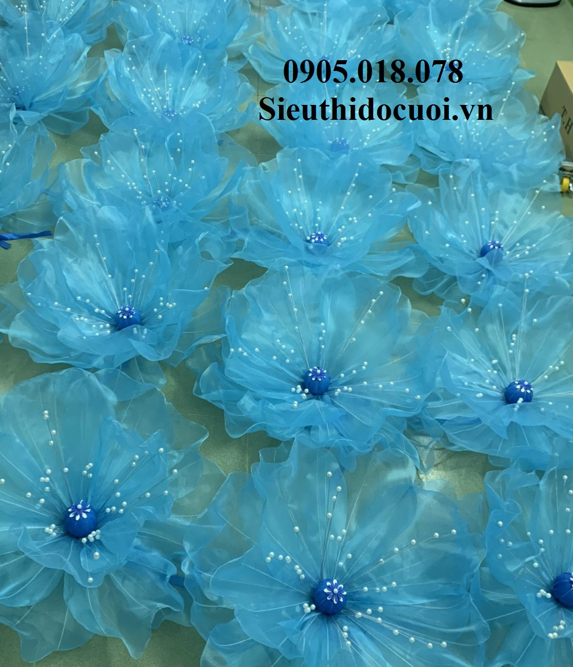 Hoa Múa, Hoa Dùng Để Múa Hoa Múa, Hoa Dùng Để Múa