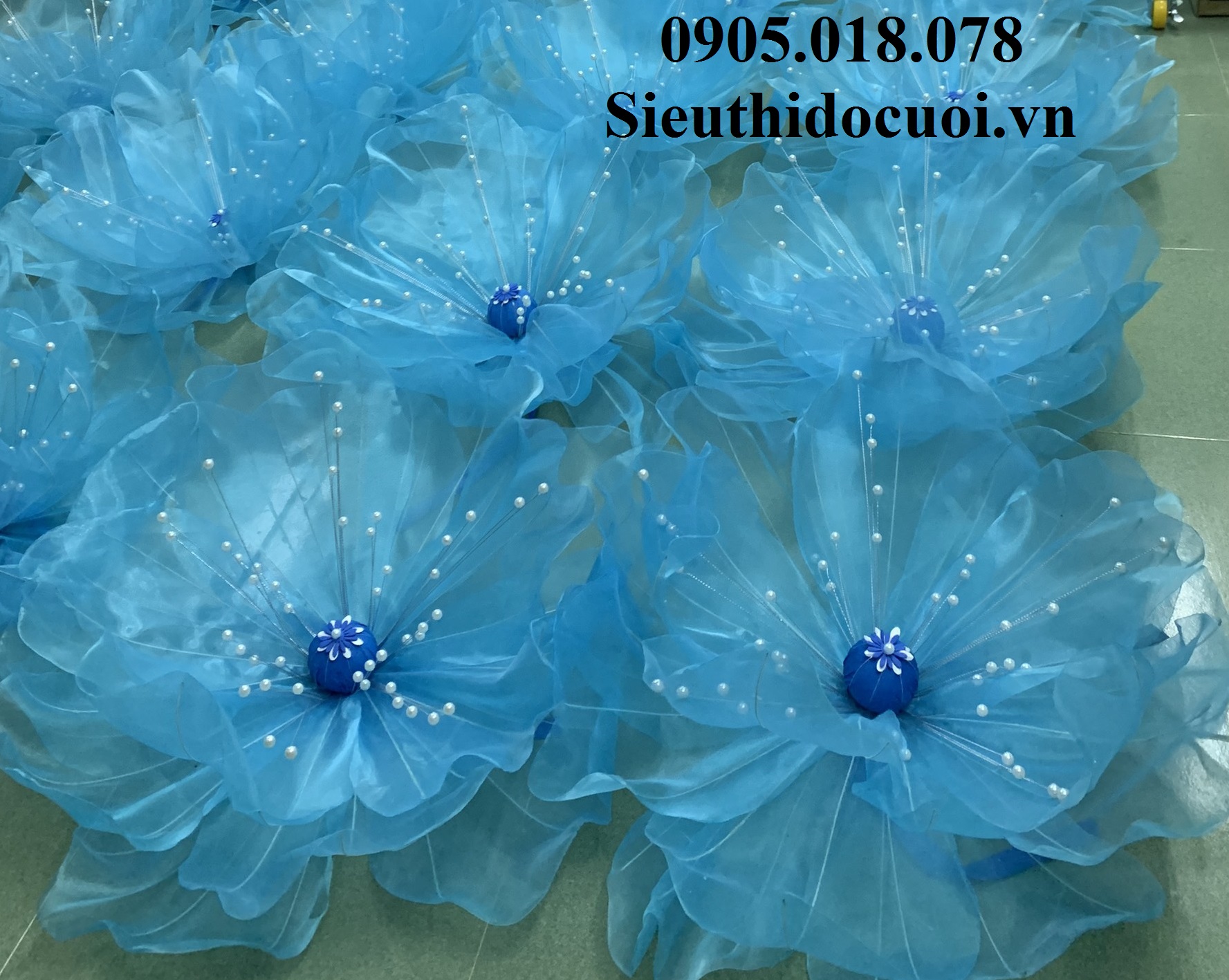 Hoa Múa, Hoa Dùng Để Múa Hoa Múa, Hoa Dùng Để Múa