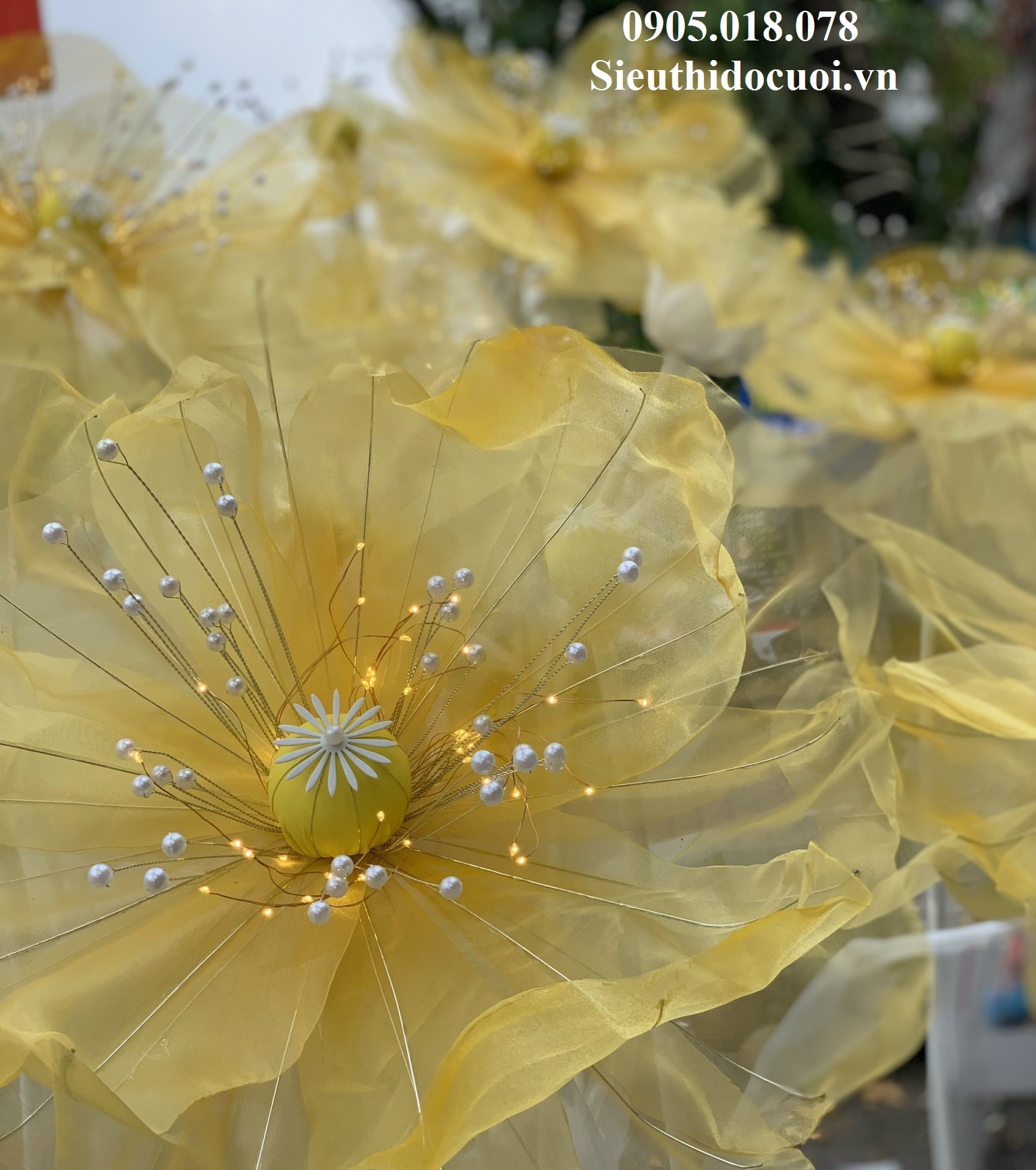 Hoa trang trí sân khấu, lối đi sân khấu Hoa trang trí sân khấu, lối đi sân khấu