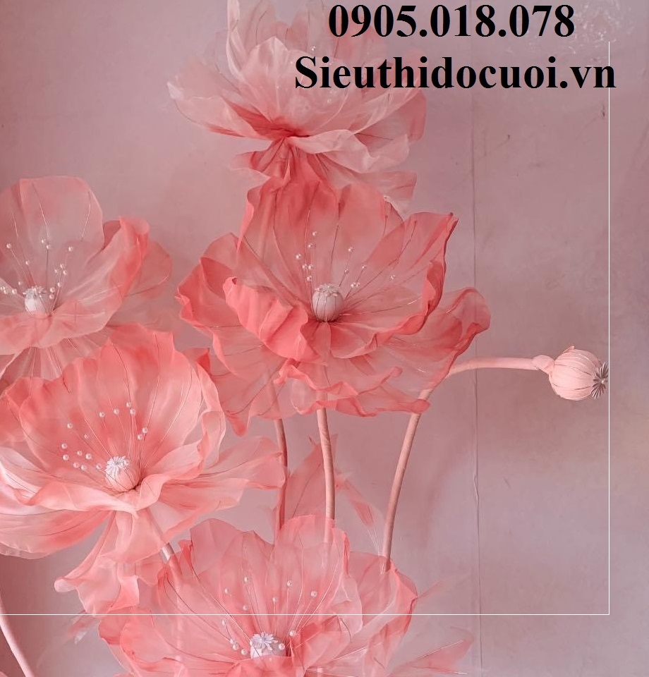 Hoa trang trí sân khấu, lối đi sân khấu Hoa trang trí sân khấu, lối đi sân khấu