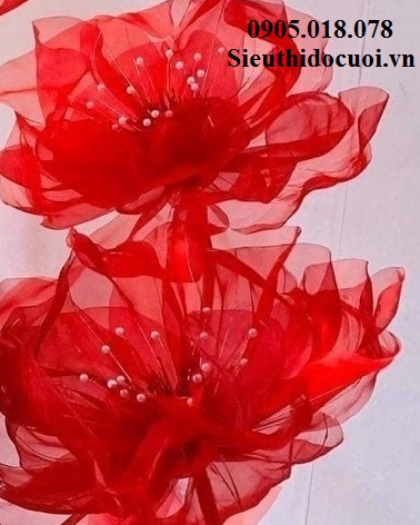 Hoa trang trí sân khấu, lối đi sân khấu Hoa trang trí sân khấu, lối đi sân khấu