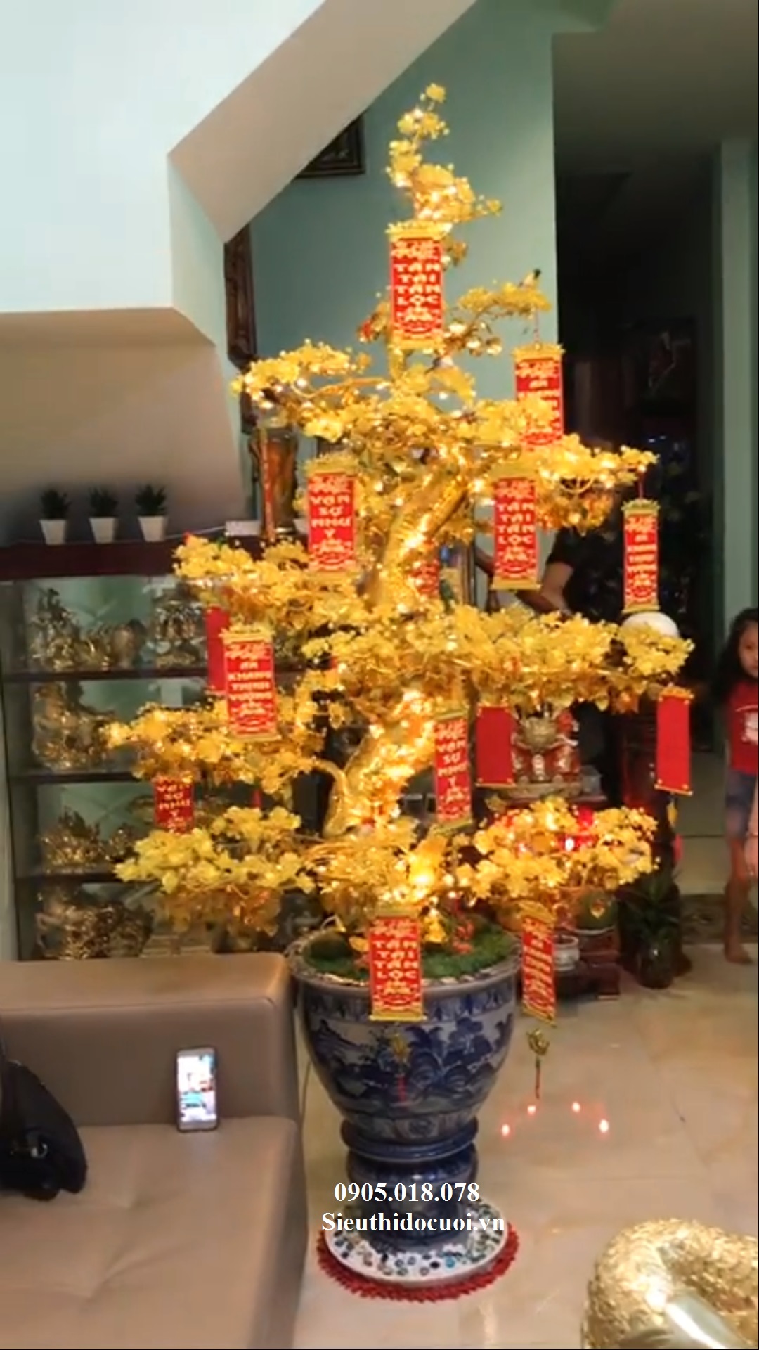 Cây Mai Pha Lê Cây Mai Pha Lê