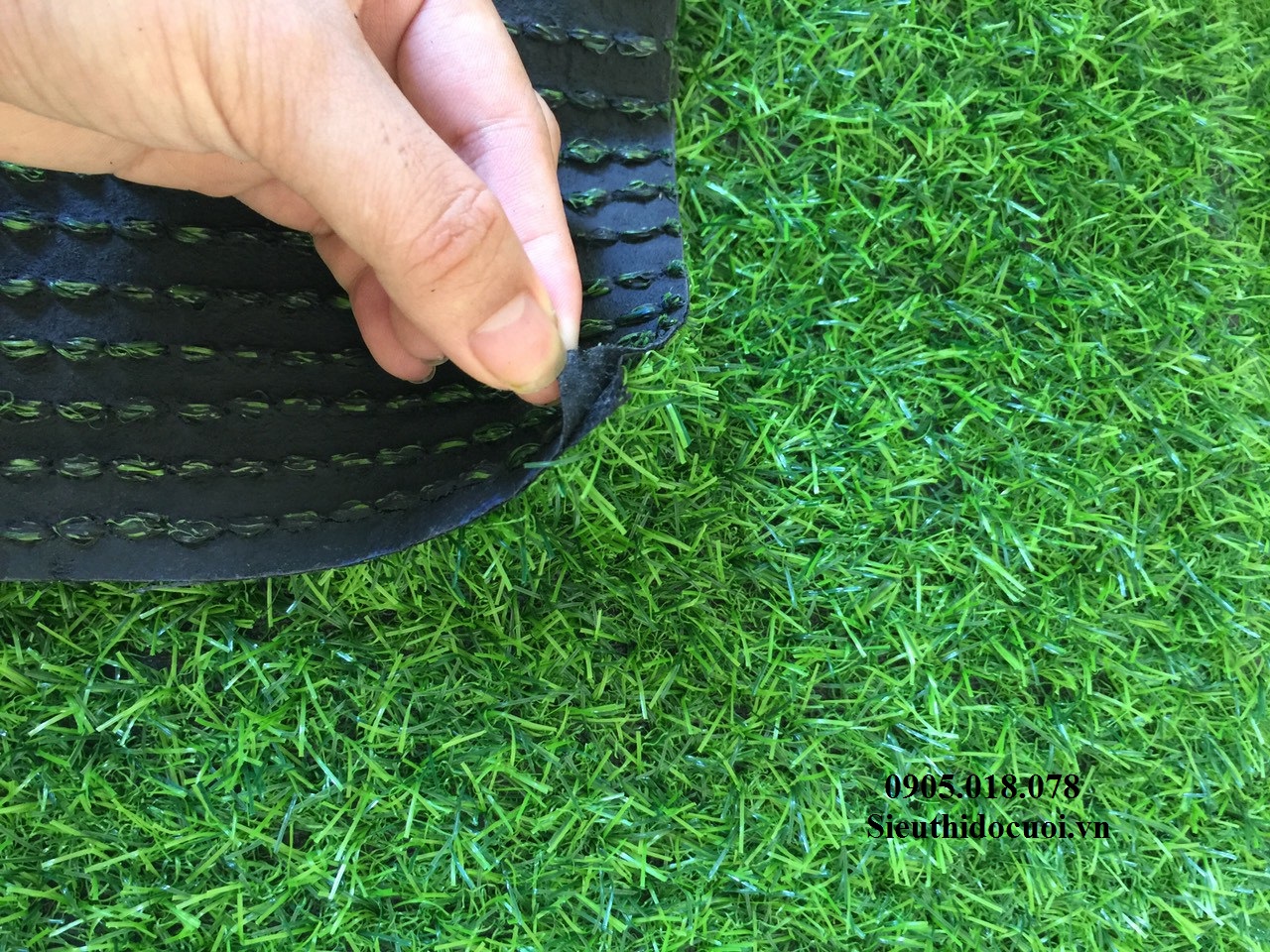 Thảm cỏ nhân tạo Thảm cỏ nhân tạo