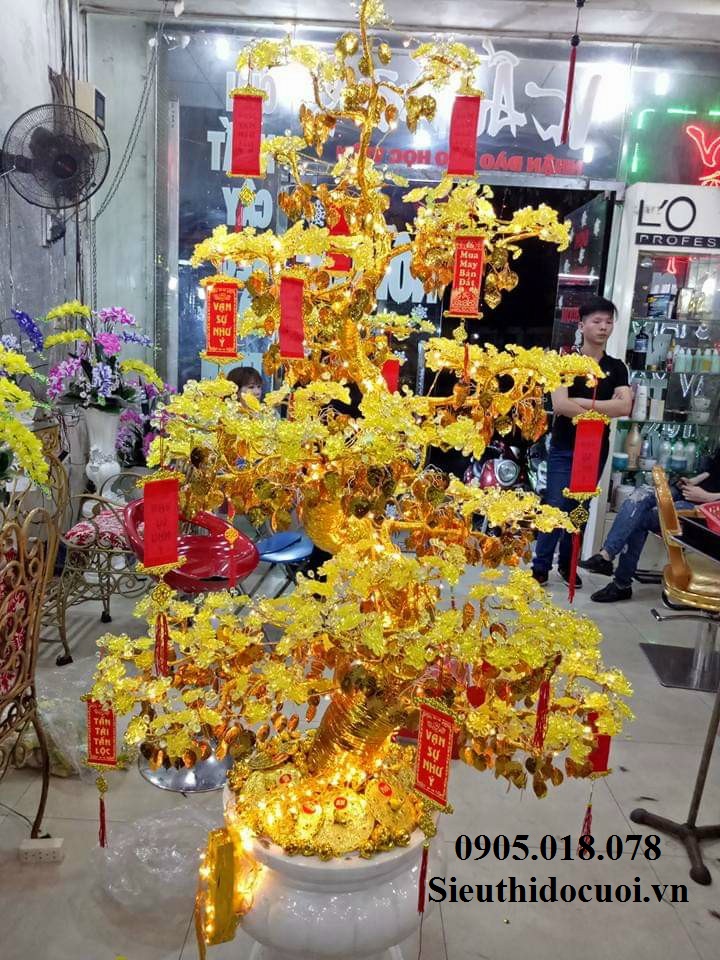 Cây Mai Pha Lê Cây Mai Pha Lê