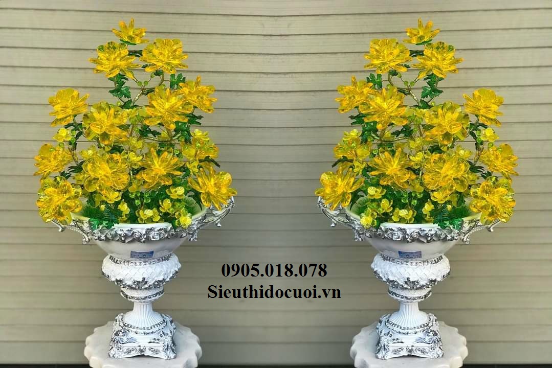 Cây Mai Pha Lê Cây Mai Pha Lê