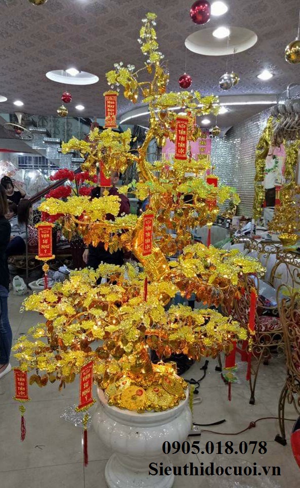 Cây Mai Pha Lê Cây Mai Pha Lê