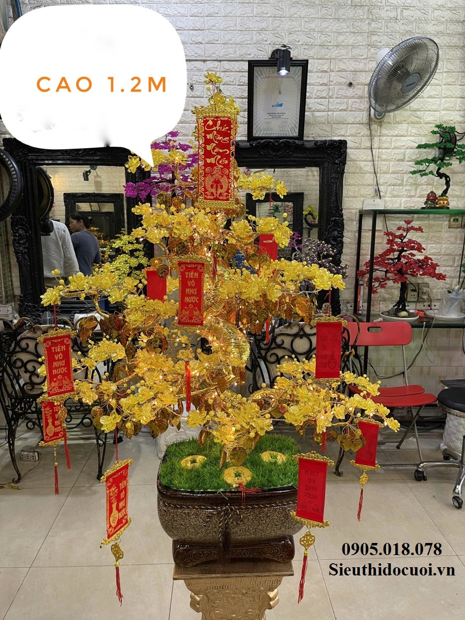 Cây Mai Pha Lê Cây Mai Pha Lê