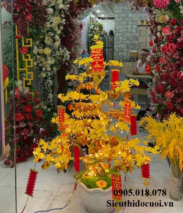 Cây Mai Pha Lê Cây Mai Pha Lê