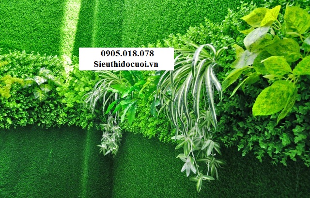 Cỏ nhân tạo, cỏ giả trang trí, cỏ tai chuột Cỏ nhân tạo, cỏ giả trang trí, cỏ tai chuột