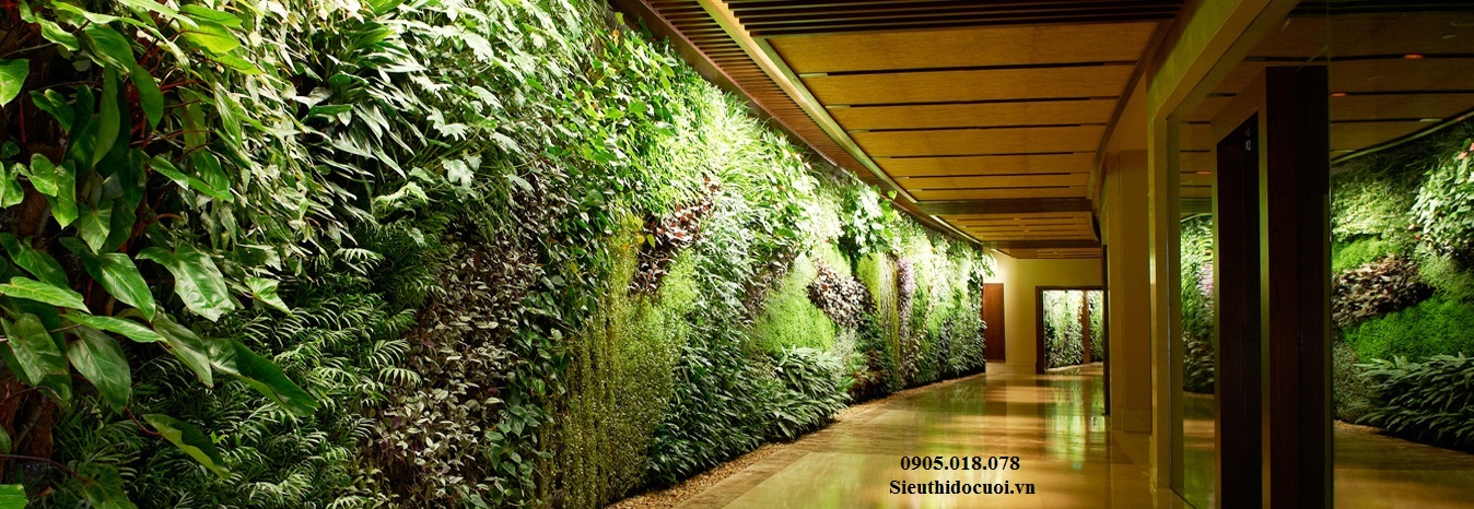 Cỏ nhân tạo, cỏ giả trang trí, cỏ tai chuột Cỏ nhân tạo, cỏ giả trang trí, cỏ tai chuột