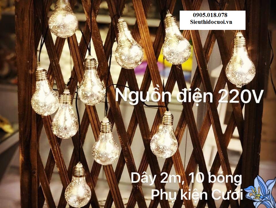 Dây đèn led bóng tròn Dây đèn led bóng tròn