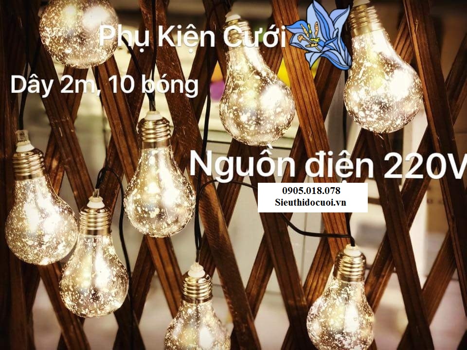 Dây đèn led bóng tròn Dây đèn led bóng tròn