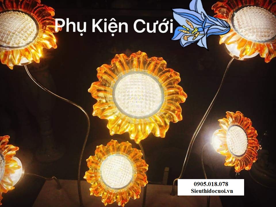 Sóng đèn hoa Hướng Dương Sóng đèn hoa Hướng Dương