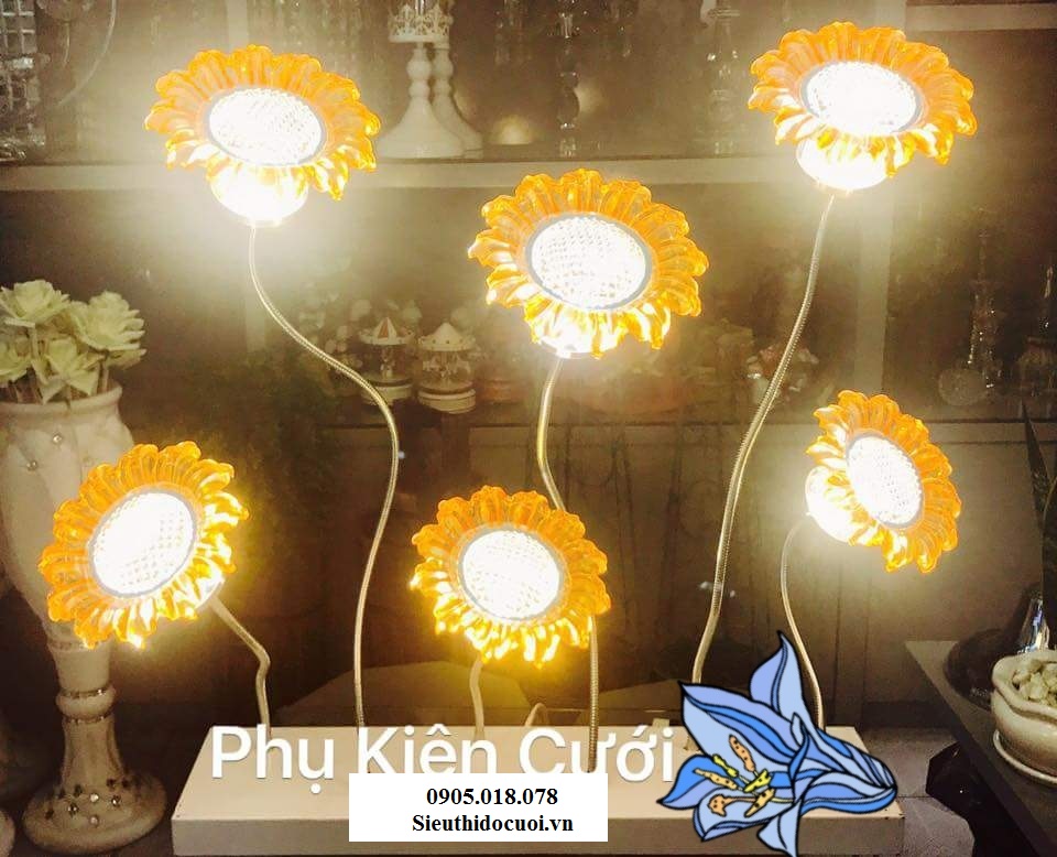Sóng đèn hoa Hướng Dương Sóng đèn hoa Hướng Dương