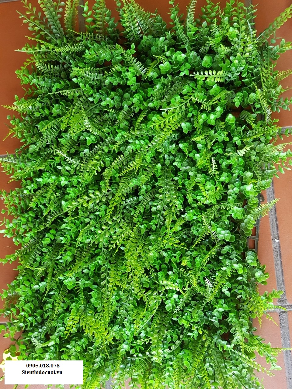 Cỏ nhân tạo, cỏ giả trang trí, cỏ dương sỉ và cỏ tai chuột Cỏ nhân tạo, cỏ giả trang trí, cỏ dương sỉ và cỏ tai chuột