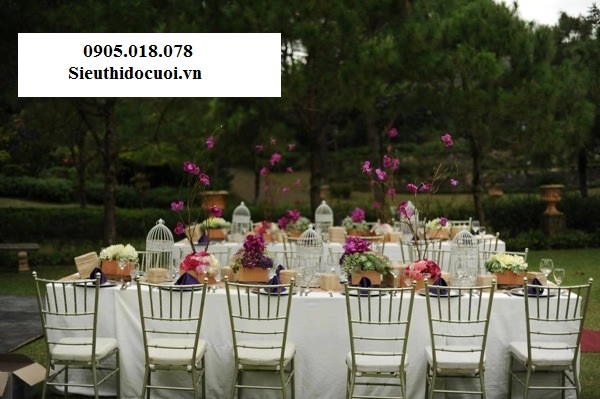 Ghế Tiffany bằng thép sơn tĩnh điện giá rẻ Ghế Tiffany bằng thép sơn tĩnh điện giá rẻ