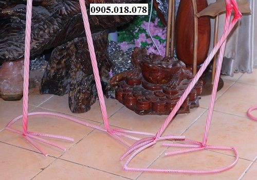 Hồng Hạc Hồng Hạc