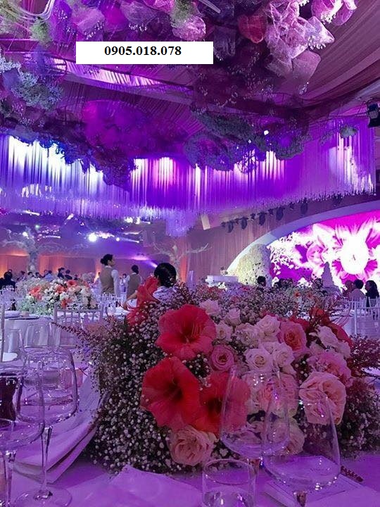 Rèm chỉ, rèm sợi chỉ, màn sợi chỉ trang trí Rèm chỉ, rèm sợi chỉ, màn sợi chỉ trang trí