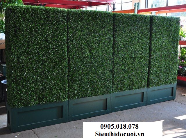 Cỏ nhân tạo, cỏ giả trang trí, cỏ cải xoang Cỏ nhân tạo, cỏ giả trang trí, cỏ cải xoang