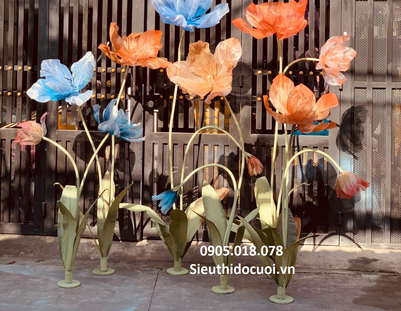 Hoa voan khổng lồ Hoa voan khổng lồ