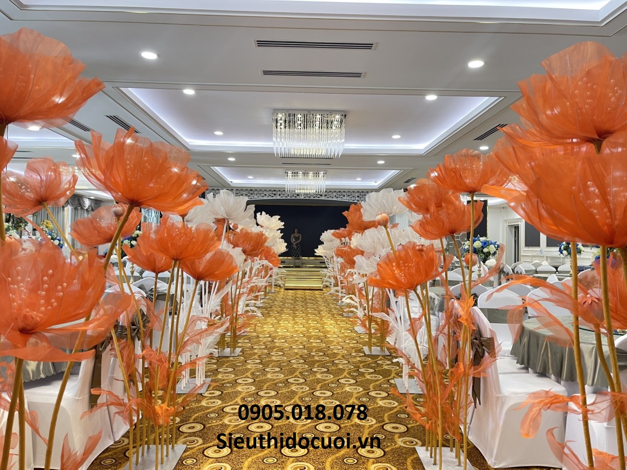 Hoa voan khổng lồ Hoa voan khổng lồ