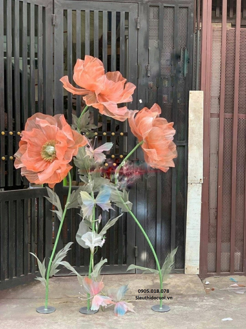 Hoa voan khổng lồ Hoa voan khổng lồ